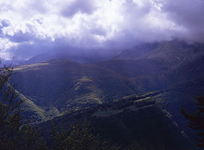 I Prati di Incodara visti dalla Cresta Nord di Monte Cardito.