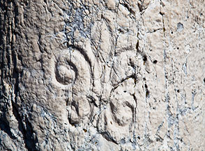 Particolare del giglio borbonico inciso sulle colonnine di confine, ad indicare il lato che guardava il Regno delle Due Sicilie.