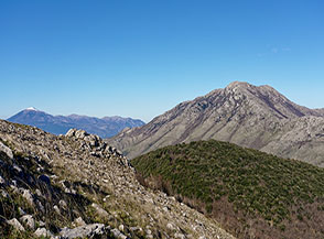 Poco prima di guadagnare la cresta sommitale vista sul Monte Sammucro o Sambucaro, in primo piano il boscoso Colle Cannavinelle, e sullo sfondo a sx fa capolino il Monte Cairo.