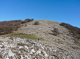 Monte Cavallo e M.Cesima