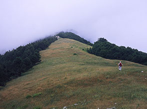 La cresta erbosa di Monte Cavallo.