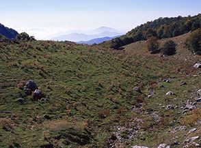 Scorcio sui pascoli bassi della Valle Venafrana.