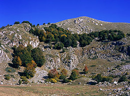 Monte Cavallo e Morrone delle Rose