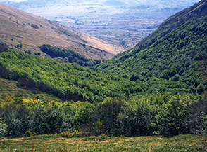 La boscosa Valle Canavine.