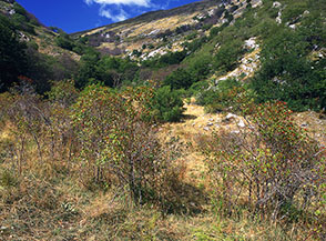 L&rsquo;ingresso della Valle Cavigliara.