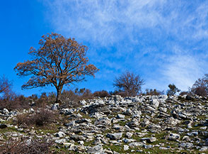 Scorcio sul Versante Sud di Colle della Tronetta.