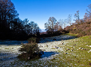Radura lungo la cresta sommitale poco sotto Monte Piccione.