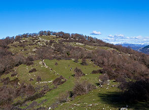 Lungo la Cresta Nord-Ovest del Cerella.