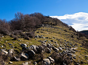 L&rsquo;erto tratto sommitale della Cresta Nord-Ovest del Cerella.