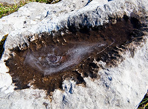 Una lisca di ghiaccio sulla vetta del Cerella.