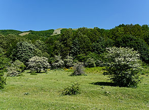 Scorcio sui prati di Piano Migliato di Calabritto.