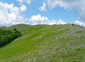 Il tratto finale della Cresta Est in vista della cima del Monte Cervialto (al centro).