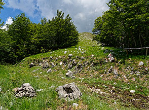 Bivio dei sentieri al limitare del bosco sulla Cresta Sud-Ovest del Monte Cervialto.