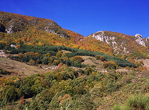 La Cresta Sud di Monte Cervia.