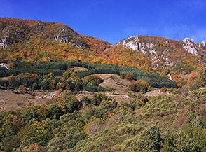 La Cresta Sud di Monte Cervia.