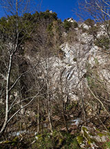 Scorcio sul fondo delle Gole dell&rsquo;Obito.