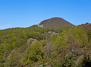 Scorcio sui boschi del Monte Midia.