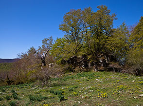 Fuori sentiero calando verso Piano del Pozzo.