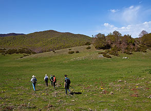 Solari prati in Valle della Dogana.