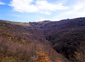 Il Fosso di Rio Pago e il Monte Civitella visti da Colle Morricone.