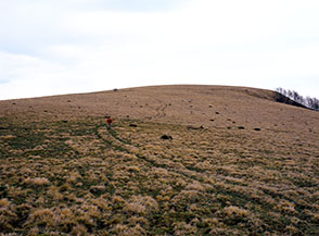 I parti sommitali per il Monte Civitella.