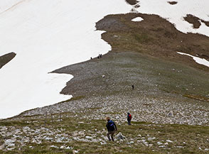 Sul ripido pendio che dal Puzzillo conduce al Passo del Morretano.