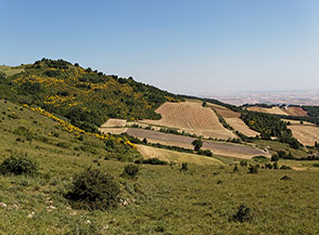 Vista sui campi di Baidalenga (Castelluccio Valmaggiore).