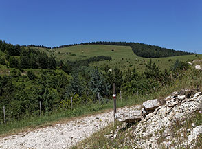 Vasti prati ci attendono alla testata della Valle del Freddo.