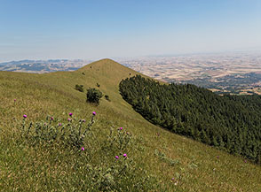 Sulla panoramica cresta del Toppo Pescara (la punta sullo sfondo).