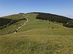 I prati che dal Toppo Pescara ci accompagnano fin sulla cima del Monte Cornacchia.