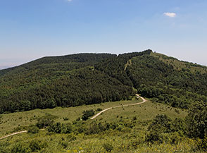 Il Versante Ovest di Monte Cornacchia.