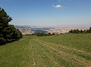 Campi sconfinati all&rsquo;orizzonte accompagnano il nostro sgaurdo appena il bosco si apre (versante settentrionale del Monte Cornacchia).