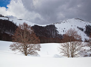 La cima di Monte Corno si scopre sulla dx all&rsquo;uscita dal bosco oltre Passo della Fara.