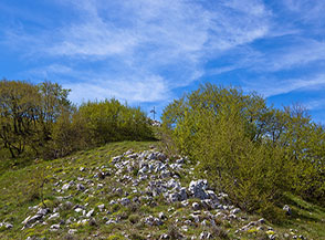 Sulla Cresta Nord-Est di Monte Corno.