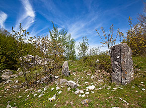 I pochi resti di un tempietto romano che si trovano a Colle San Domenico.