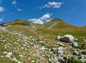 Paesaggio in Alta Val Chiarino.