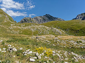 Paesaggio in Alta Val Chiarino.