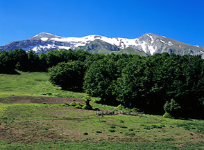 La vasta radura superato Colle Abetone, da cui possiamo osservare entrambe le cime di Monte Corvo.