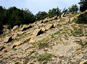 Le &ldquo;code di drago&rdquo;, curiose formazioni di roccia arenaria nei pressi del valico di Piana San Pietro.