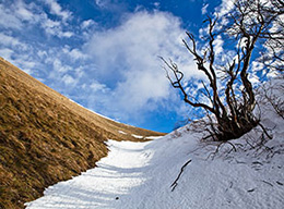 Monte Coscerno