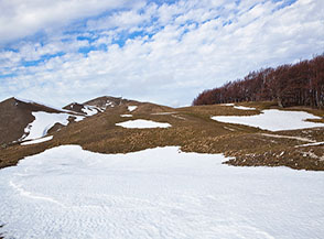 Tratto centrale della Cresta Sud-Est del Coscerno.
