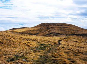 La piatta cresta che conduce sul gobbone sommitale di Monte la Piella.