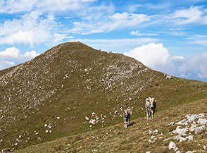 La cima settentrionale e topografica del Monte del Papa.