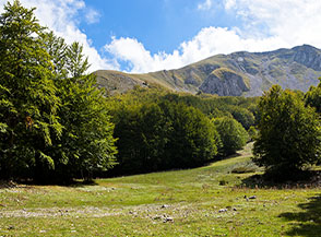 La radura all&rsquo;uscita della faggeta della Valle Remmo, con vista sulla Cresta Nord di Timpa Scazzariddo.