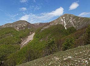 Dalla sella sopra la Sorgente del Gavitone vista sulle cime del Sirino: Monte del Papa (sulla sx) e Timpa Scazzariddo.