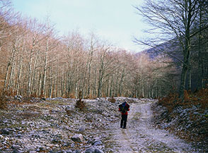 La sterrata che risale, per un primo tratto, la Valle di Femmina Morta.