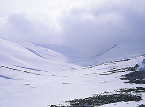 Il Fosso di Monte Brecciaro nell&rsquo;anfiteatro dellle Pratelle.