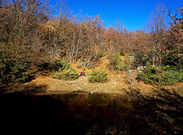 Monte della Cerreta