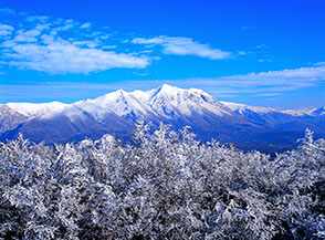 La bianca catena del Velino spicca sul bosco che circonda la cima del Monte Fa&igrave;to.