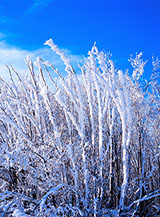 &ldquo;Candelabri di neve&rdquo; sulla cima di Monte Fa&igrave;to.